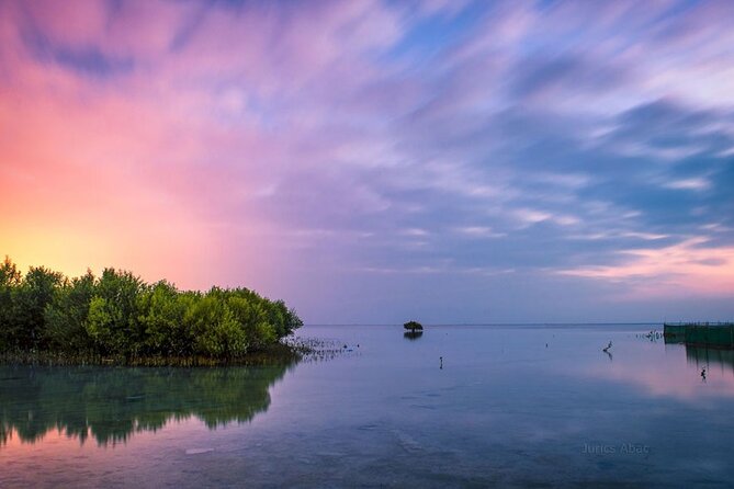 North of Qatar Tour, Zubara Fort, Mangroves, Jumail Village - Al Jumail Village, a quieter look at traditional life