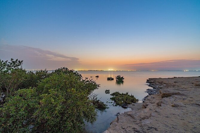 North of Qatar Tour, Zubara Fort, Mangroves, Jumail Village - Who will enjoy this tour most
