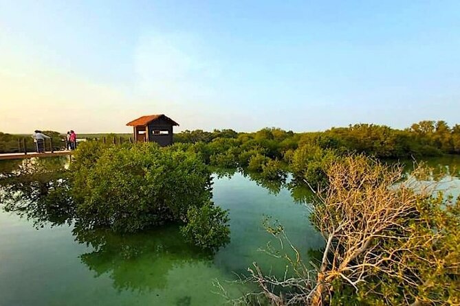 North of Qatar Tour|Zubara Fort, Purple Island & Mangroves Colony - Purple Island and the changing tide