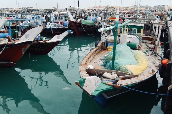 North Qatar Guided Expedition to Nature Charms - Key points before you book