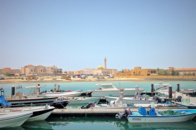 North Qatar Half-Day Tour: Al Zubarah, Purple Island & Mangroves - Who gets the most value from this tour