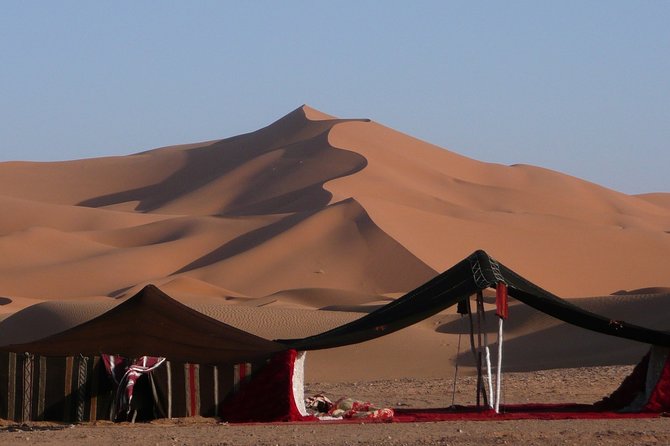 Premium Full-Day Safari, Dune Bash, Camel Ride and BBQ Meal in Desert Camp - At a Glance: What You Get