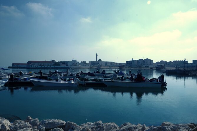 Private Combo North and West of Qatar Tour 8hours - What the private format adds