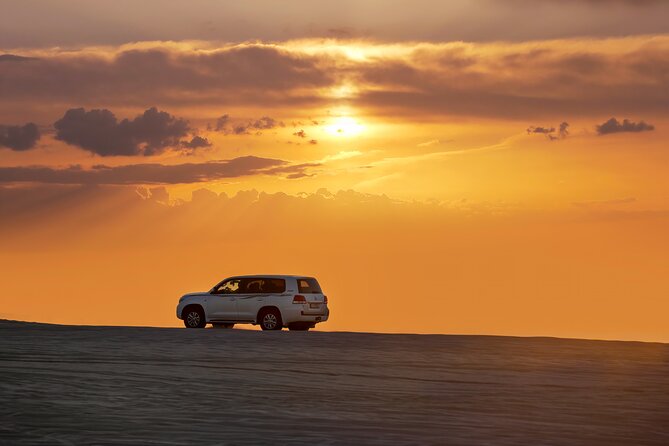 Private Desert Safari Fast Track - Sealine Beach combines camels, falcons, and sandboarding