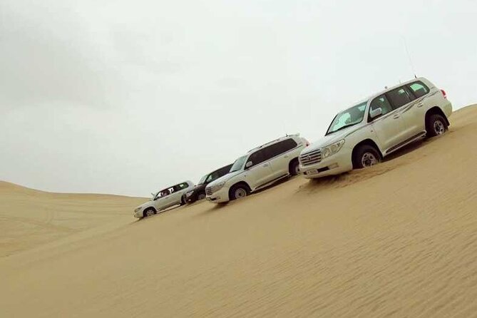 Private Desert Safari, Sand Dunes Bashing and Inland Sea Visit - What dune bashing is really like