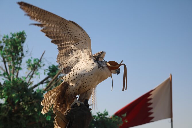 Private Desert Safari Tour 4 hours - Khor Al Udaid, where sand meets the sea