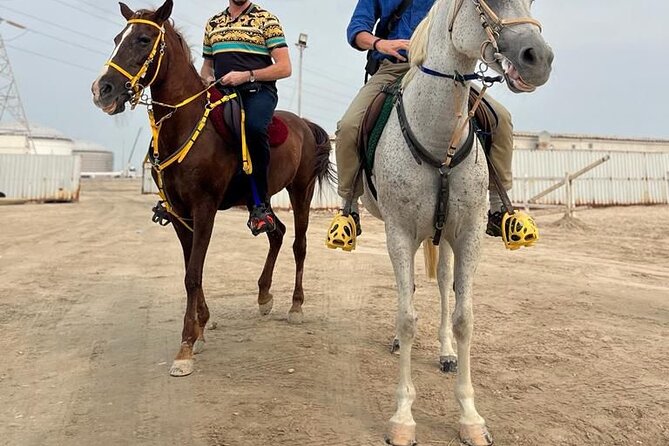 Private-Doha Horse Ride/Camel Ride/Quad Bike All Inclusive Tour - Leaving Doha for Mesaieed