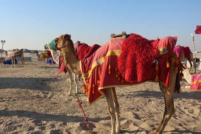 Private Dunes Bashing | Desert Safari | Sand Boarding - Key points to know before booking