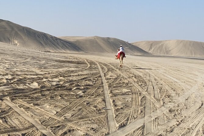 Private Dunes Bashing | Desert Safari | Sand Boarding - From Doha to Sealine Beach in one afternoon