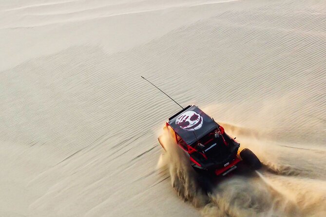 Private Full Day Desert Safari Dinner and Camel Ride in Doha - Key points at a glance