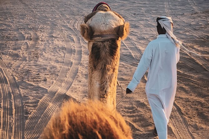 Private Full Day Desert Safari Dinner and Camel Ride in Doha - A short camel ride, not a long trek