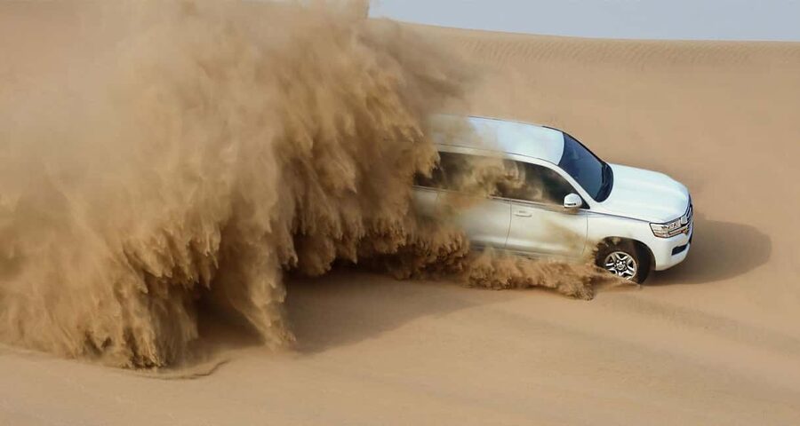 Private Full-Day Desert Tour - Key points at a glance