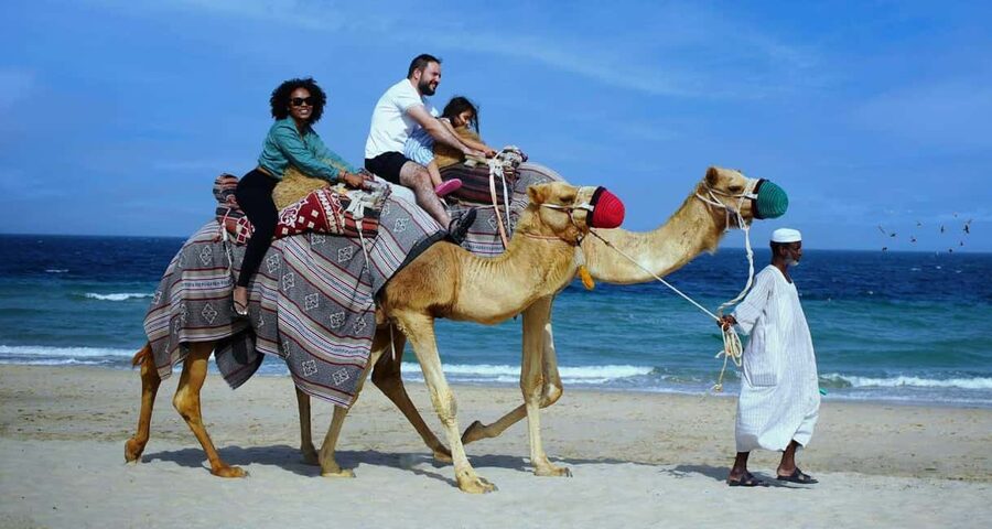 Private Full-Day Desert Tour - The ride from Doha to Sealine