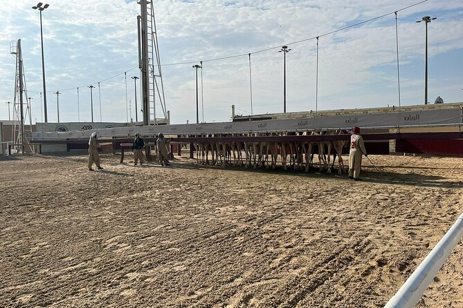 Private Full Day Guided Tour in Qatar North and West - What the $118.06 Price Really Covers
