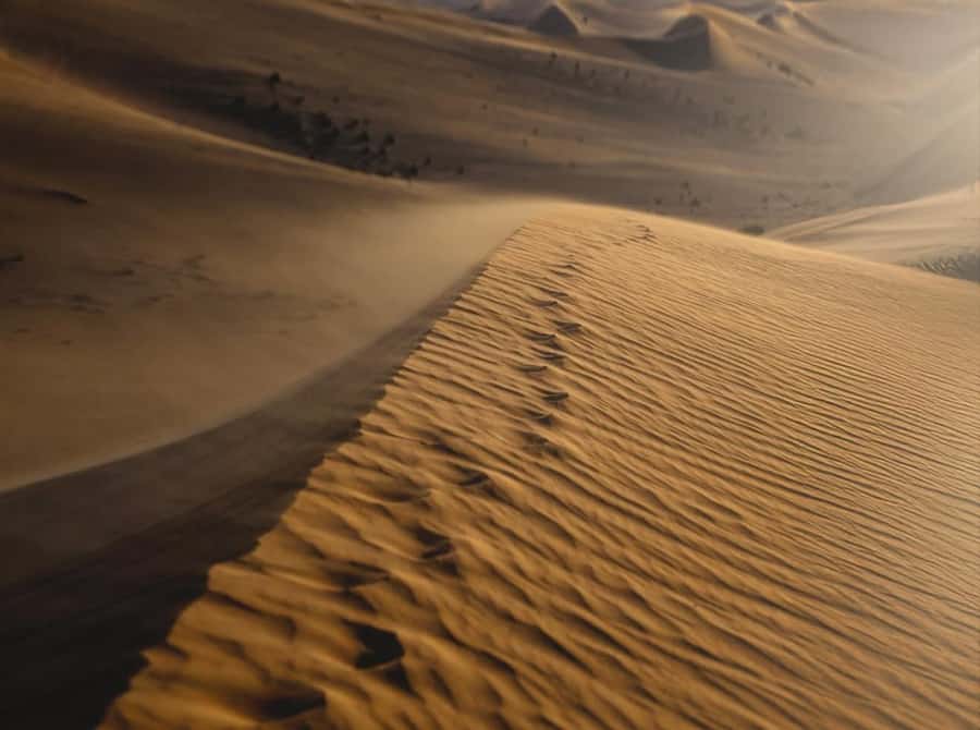Private Gentle Sands Desert Experience Without Dune Bashing - Dune Bashing and Sandboarding