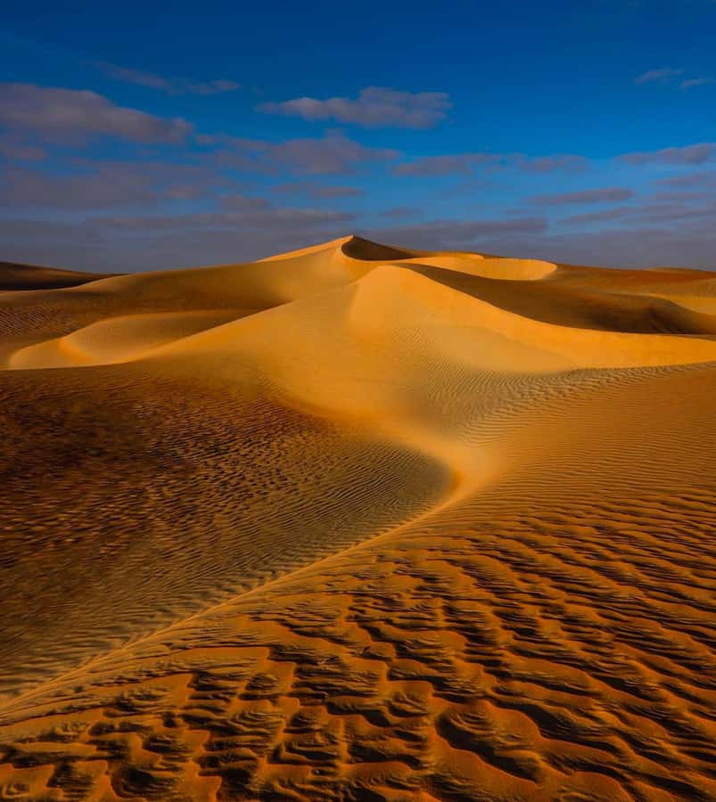 Private Gentle Sands Desert Experience Without Dune Bashing - What $16 Really Gets You