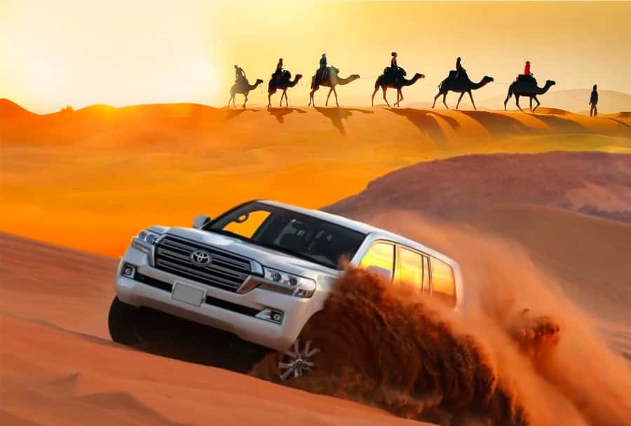 Private Gentle Sands Desert Experience Without Dune Bashing - Who Will Enjoy This Desert Trip Most