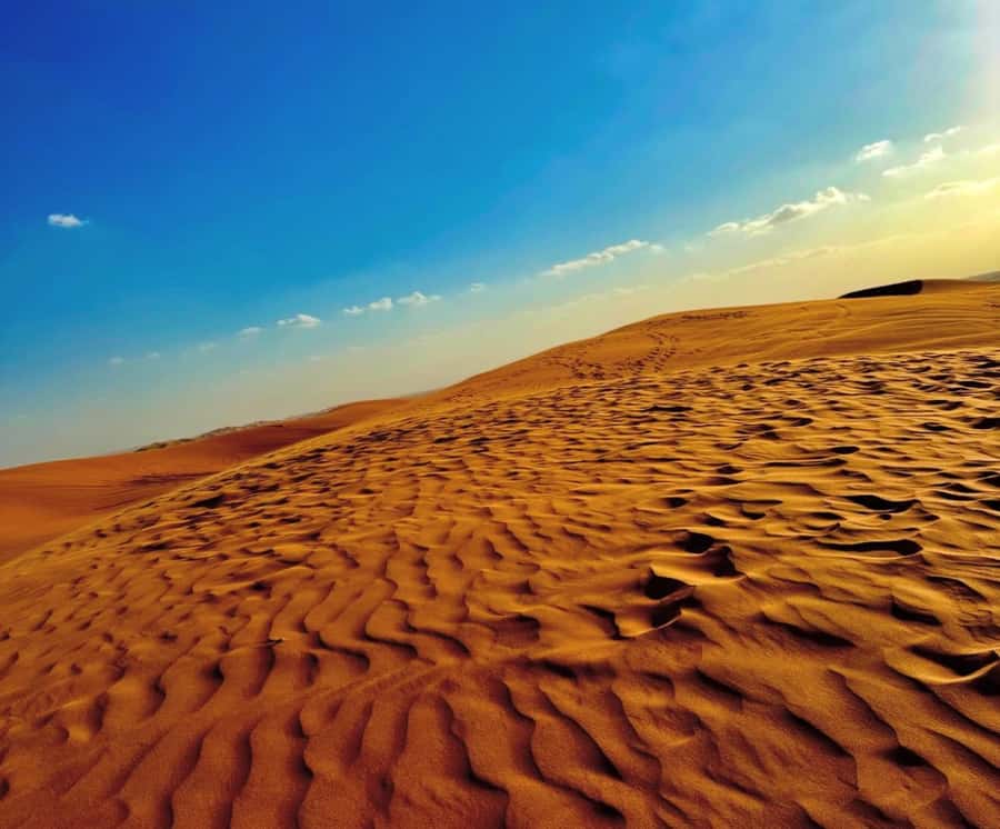Private Gentle Sands Desert Experience Without Dune Bashing - Booking Advice and Final Verdict