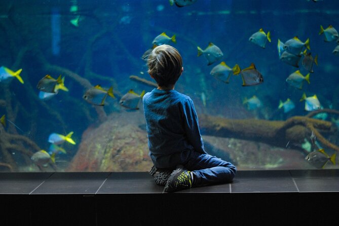 Private Hamad Port Tour in Mesaieed |Aquarium |Maritime Museum - Why Hamad Port is more than an aquarium