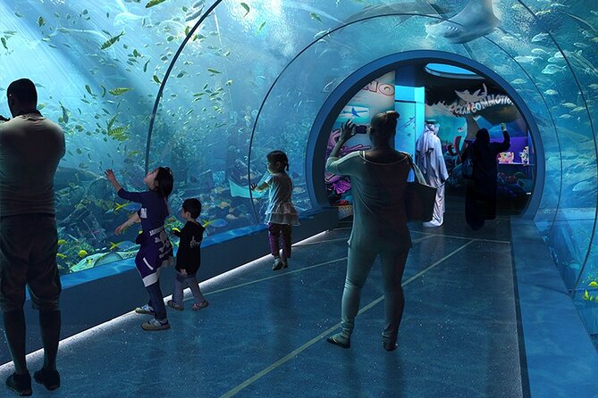 Private Hamad Port Tour in Mesaieed |Aquarium |Maritime Museum - Start with Qatar’s maritime story