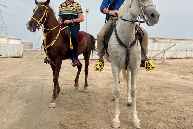 Private Horse and Camel Riding Experience in Doha - Private touring and the guide’s role
