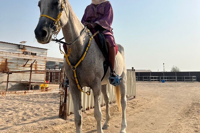 Private Horse and Camel Riding Experience in Doha - What to wear and how much effort to expect