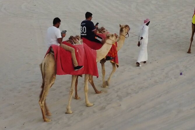 Private Horseback Riding Experience in Doha - Who will enjoy this horse ride most?