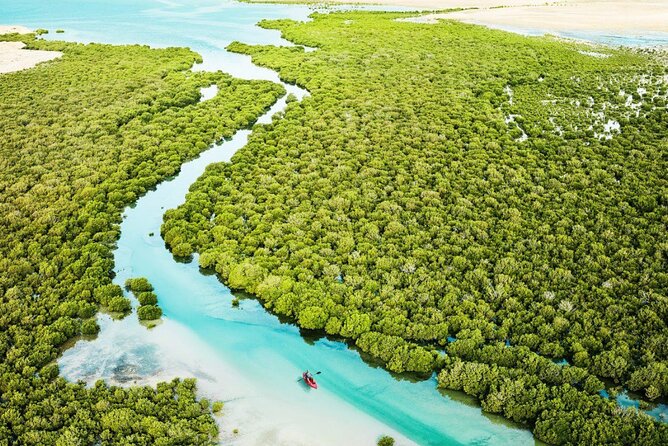 Private North of Qatar Tour - The guide can make or break the day