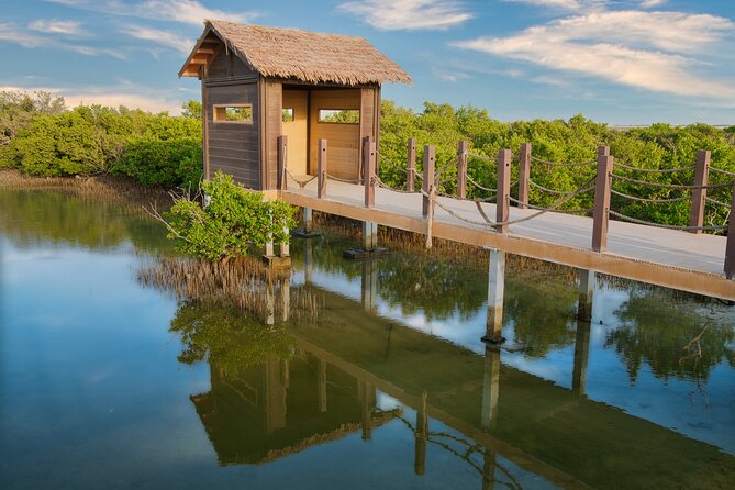 Private North of Qatar: Zubara Fort | Jumail Village | Al-Thakhira Mangroves - Al Khor Harbor and the old pearling coast