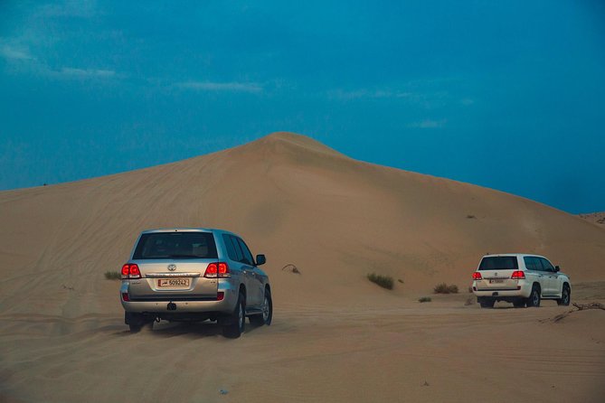 (Private) Quickie to the Desert | Sandboarding | Inland Sea - Camel rides, falcons, and optional desert traditions