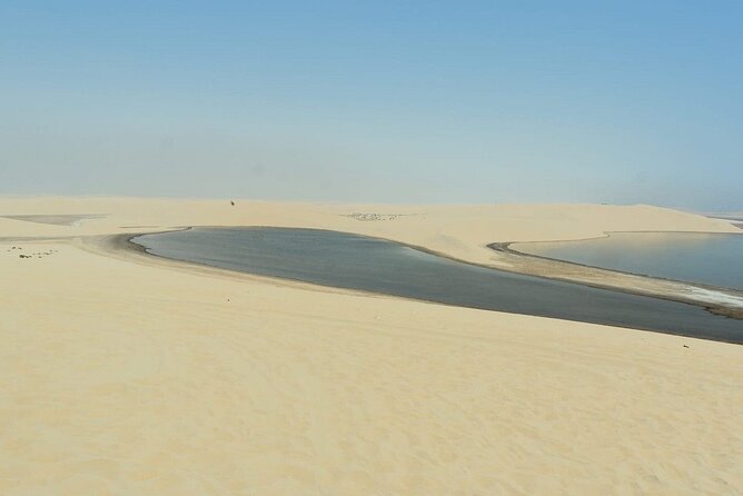 Private Sealine Beach Tour with Desert Activities - What the $40 price really covers