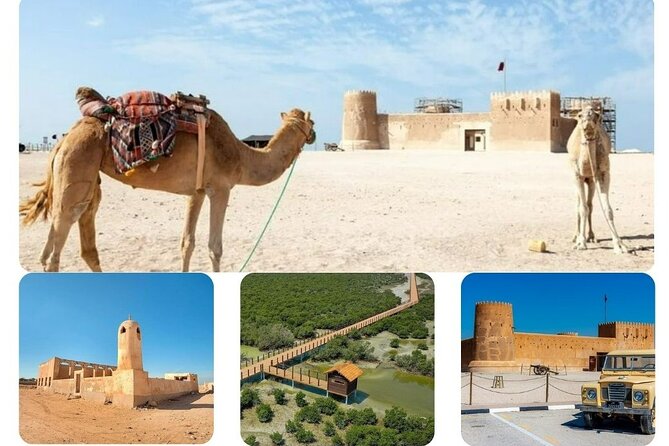 Private Tour in Northern Qatar - Al Khor puts the sea first