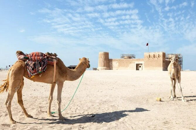 Private Tour in Northern Qatar - Who will enjoy this trip most?