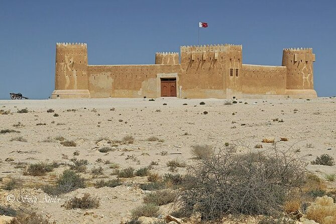 Private Tour in Northern Qatar - Purple Island brings mangroves and birdlife