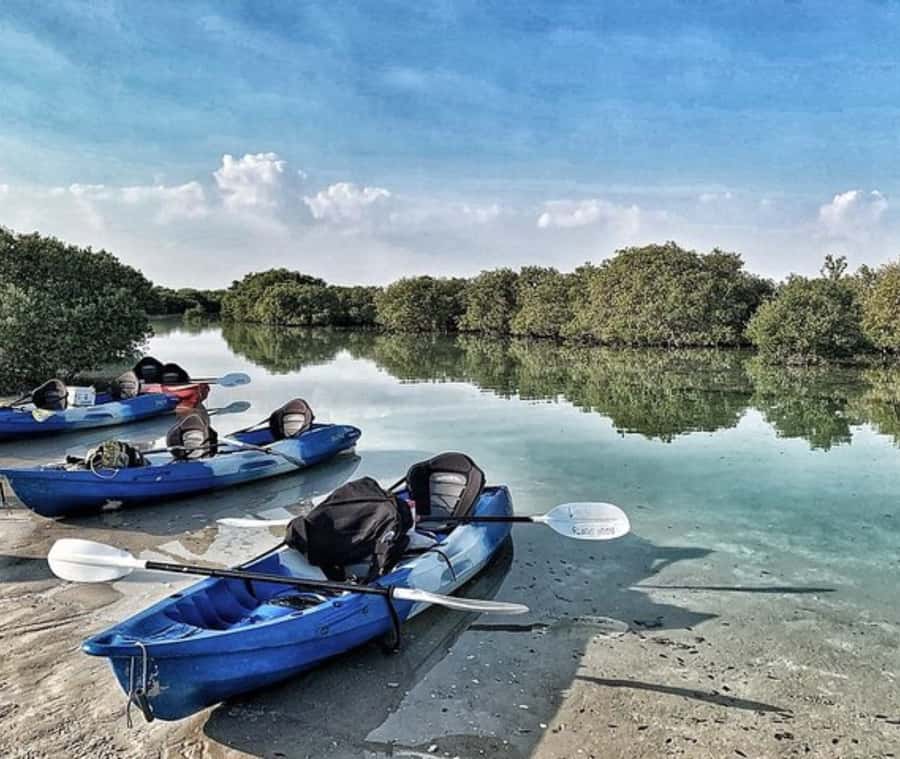 Qatar: Al Thakira Mangrove Forest Kayaking Tour - Leaving Doha for Al Thakira