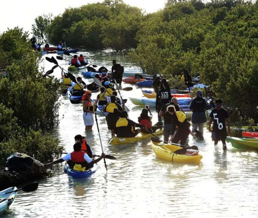 Qatar: Al Thakira Mangrove Forest Kayaking Tour - Arriving at Qatar’s mangrove forest