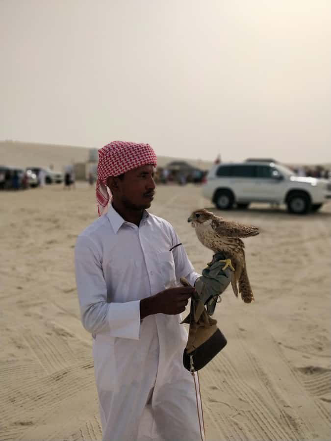 Qatar: Desert Safari, Camel Ride, Inland sea, Sandboarding - Who will enjoy this experience most