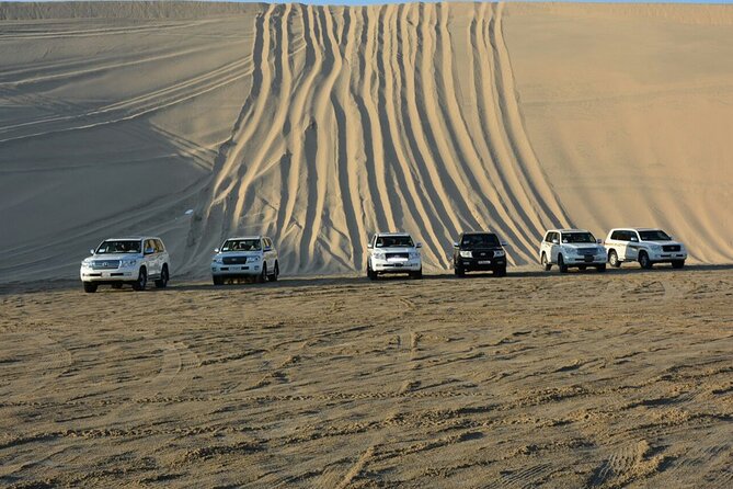 Qatar Desert Safari, Dune Bashing (Private Safari Tour) - What $90 means for value