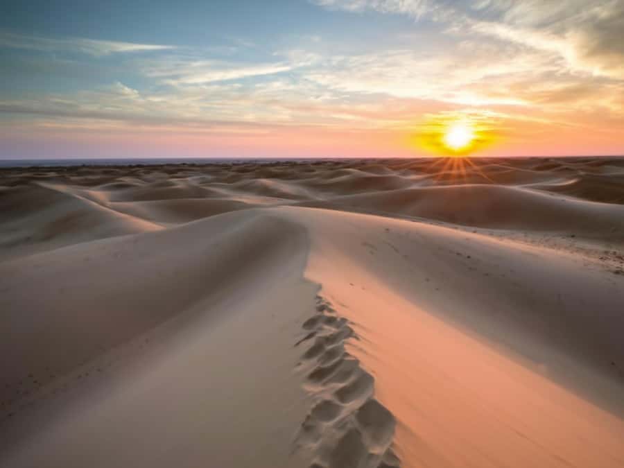 Qatar Desert Safari, Quad bike, Camel Ride and Sandboarding - Sandboarding is easy to try, harder to master