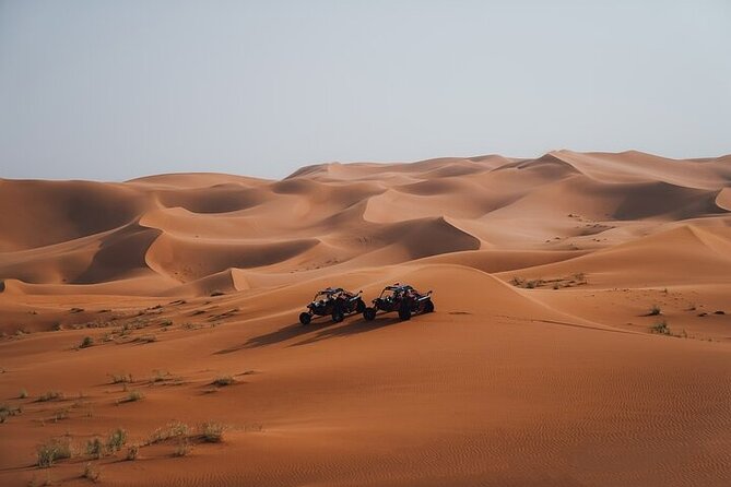 Qatar Desert Thrills Self Ride Dune Buggy Safari and Camel Ride - Hotel pickup makes the timing easier