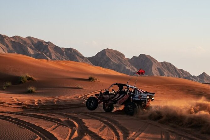 Qatar Desert Thrills Self Ride Dune Buggy Safari and Camel Ride - Is $199 a fair price?