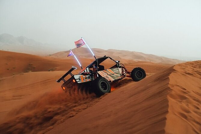 Qatar Desert Thrills Self Ride Dune Buggy Safari and Camel Ride - Who will enjoy this most?