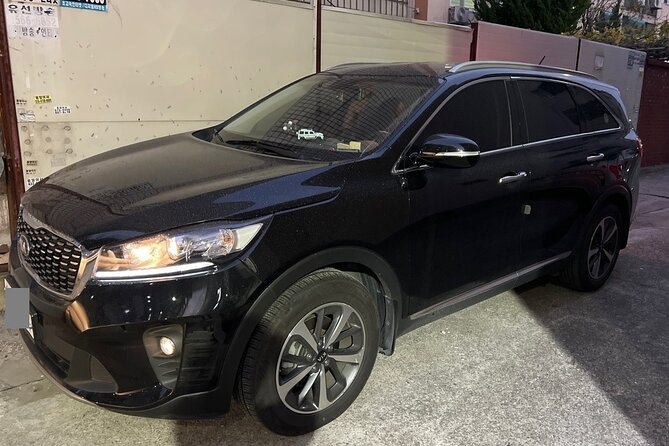 Qatar Doha Hamad Airport (DOH) to Doha - Arrival Private Transfer - Who will get the most from this transfer