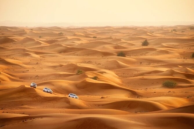 Qatar Dune Buggy Private Experience - Photo stops, sandboarding, and breathing room