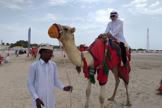 Qatar Gold Dune Safari, Dune Bashing,Camel Ride,Sand Boarding,Inland Sea Desert - Dune bashing across Qatar’s golden sand