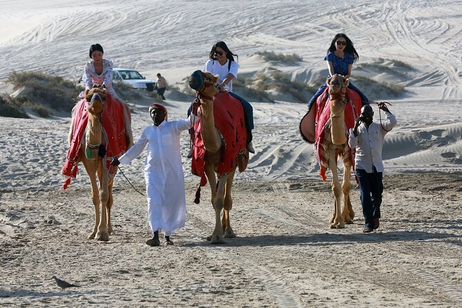 Qatar Half Day Desert Safari(Camel Rides & Sandboarding) - Who will enjoy this safari most?
