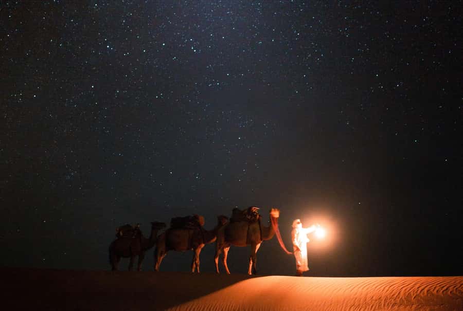 Qatar: Night Desert Safari| Camel Ride| Inland Sea Beach - Leaving Doha for the Mesaieed desert