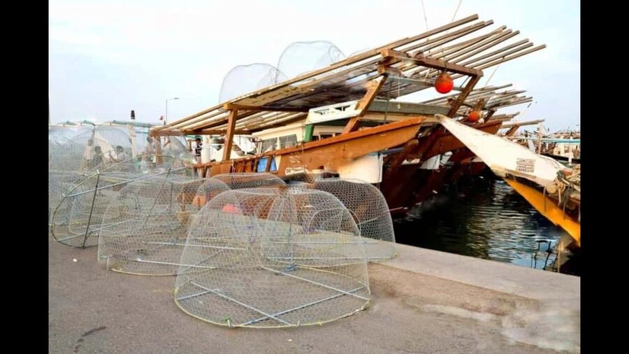 Qatar:North Tour, Purple island, zubara Fort, Jumail village - From Doha to Al Khor Fish Harbour
