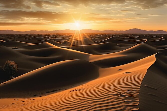 Qatar: Sunrise or Sunset Desert Tour in Doha, unforgettable trip - The Land Cruiser dune drive