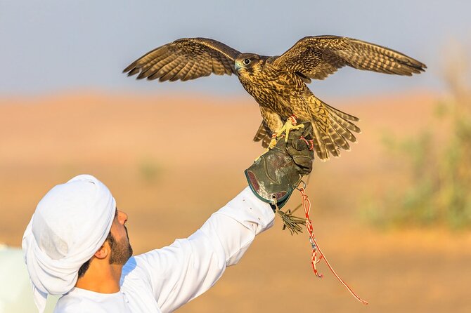 Qatar: Sunrise or Sunset Desert Tour in Doha, unforgettable trip - The Inland Sea at sunrise or sunset